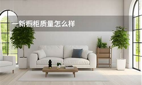 一新橱柜怎么样-一新橱柜