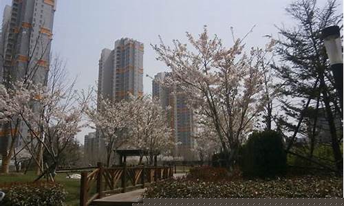 鲁信含章花园地址-鲁信含章花园